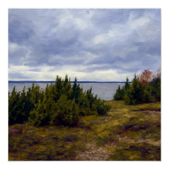 Póster Costa tranquila de Vormsi (Anverso)