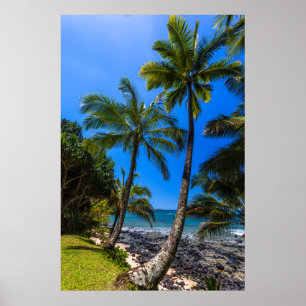 Póster Costa tropical 2