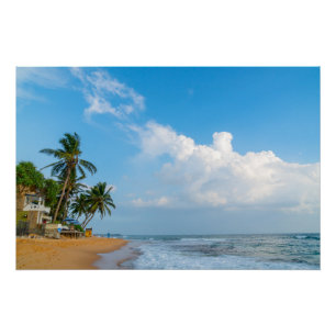 Póster Costa tropical de playa y palmeras Vista al océano
