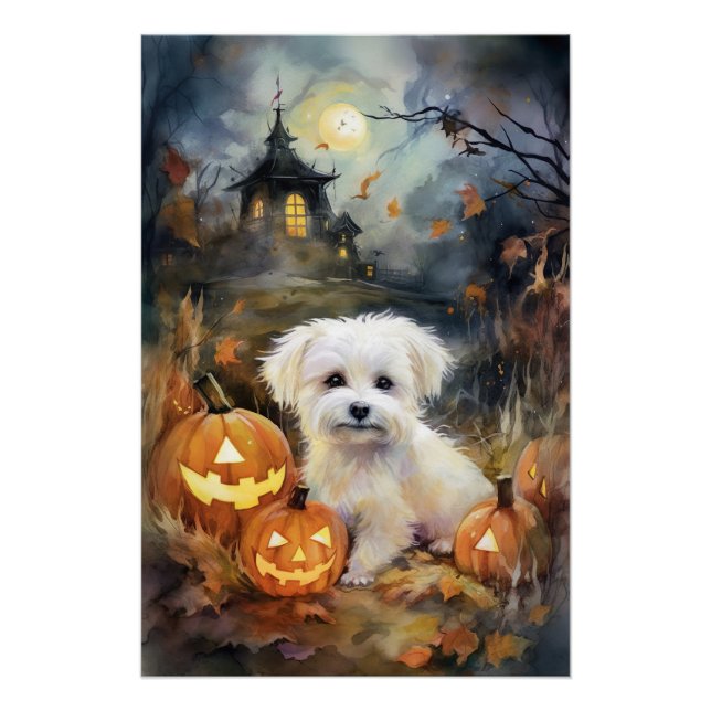 Póster Coton De Tulear de Halloween con Calabazas Espeluz (Anverso)