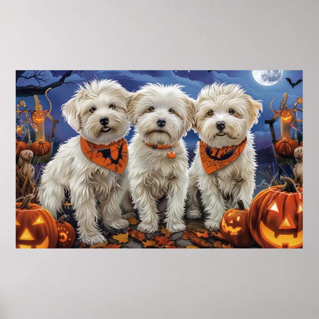 Póster Coton De Tulear Halloween Espeluznante (Frente)