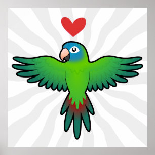 Póster Cotorra / Loriquito / Amor de loro