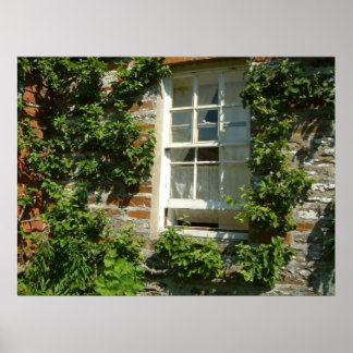Póster Cottage inglesa I