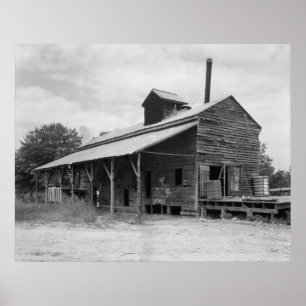 Póster Cotton Gin