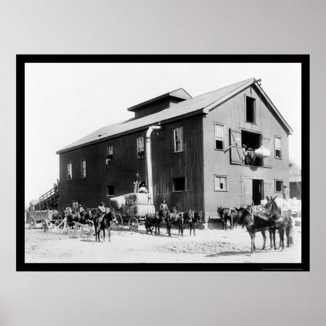 Póster Cotton Gin en Dahomey, MS 1898 (Frente)