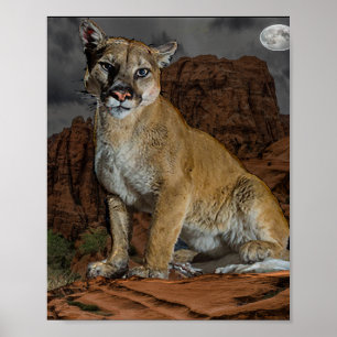 Póster Cougar