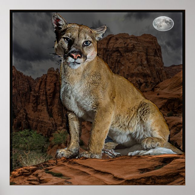 Póster Cougar Arizona (Frente)