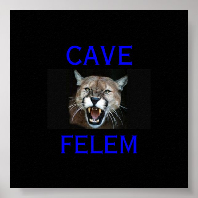 Póster COUGAR Cuidado Con El Gato - En Latín. - (Frente)