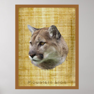 Póster COUGAR, LONES DE MONTAÑA, Poster PUMA