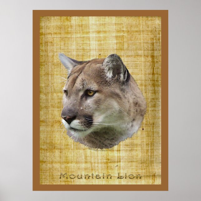 Póster COUGAR, LONES DE MONTAÑA, Poster PUMA (Frente)