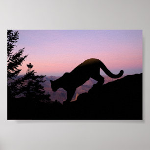 Póster Cougar y el Gran Cañón
