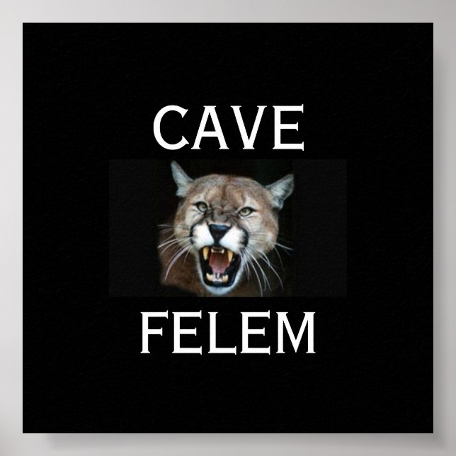 Póster COUGARBeware  Of The Cat - In Latin.. - Customized (Frente)