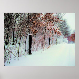 Póster Country Cold