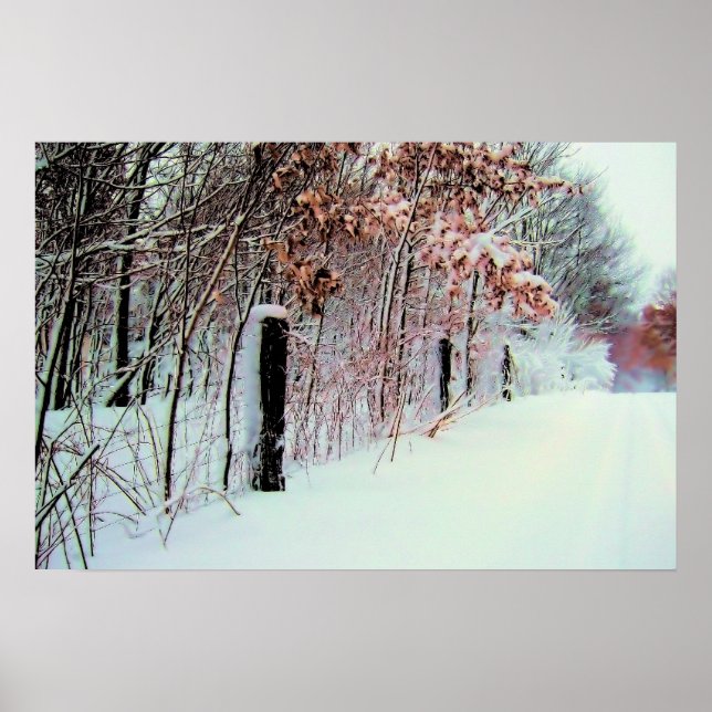 Póster Country Cold (Frente)