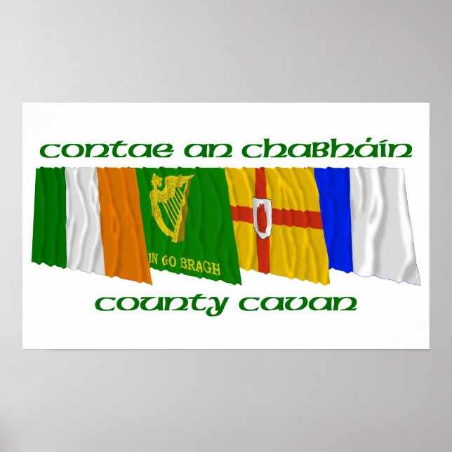 Póster County Cavan Flags (Frente)