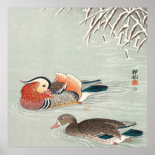 Póster Couple Mandarin Duck Design   Ideal Gift