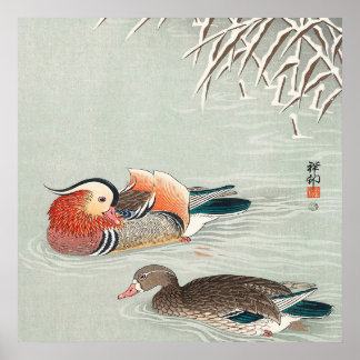 Póster Couple Mandarin Duck Design | Ideal Gift