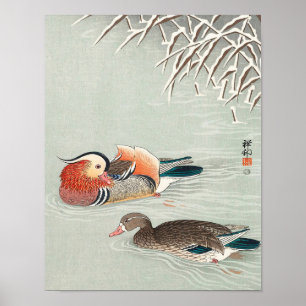Póster Couple mandarin duck print