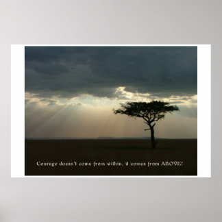 Póster Courage from Above