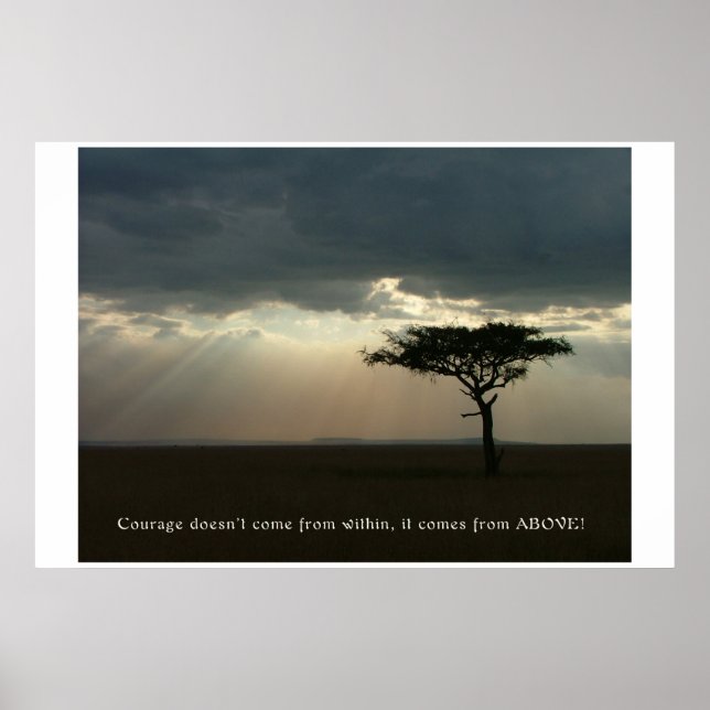 Póster Courage from Above (Frente)