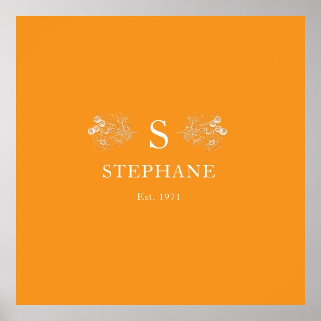 Póster Coussin Elégance Moderne (Frente)