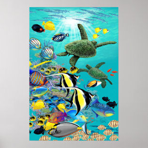 Póster Cove Molokini Peces Tropicales Hawaianos y Tortuga