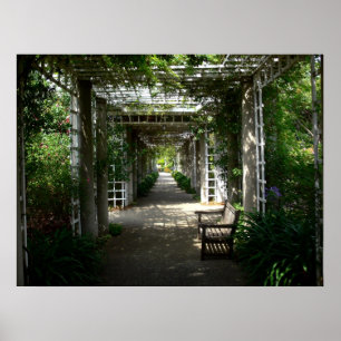 Póster Covered Walkway