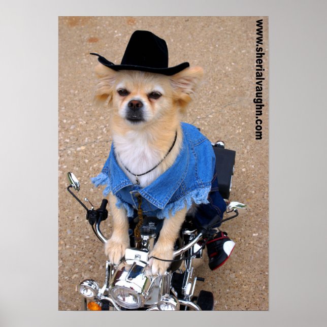 Póster Cowboy Biker Dog (Frente)