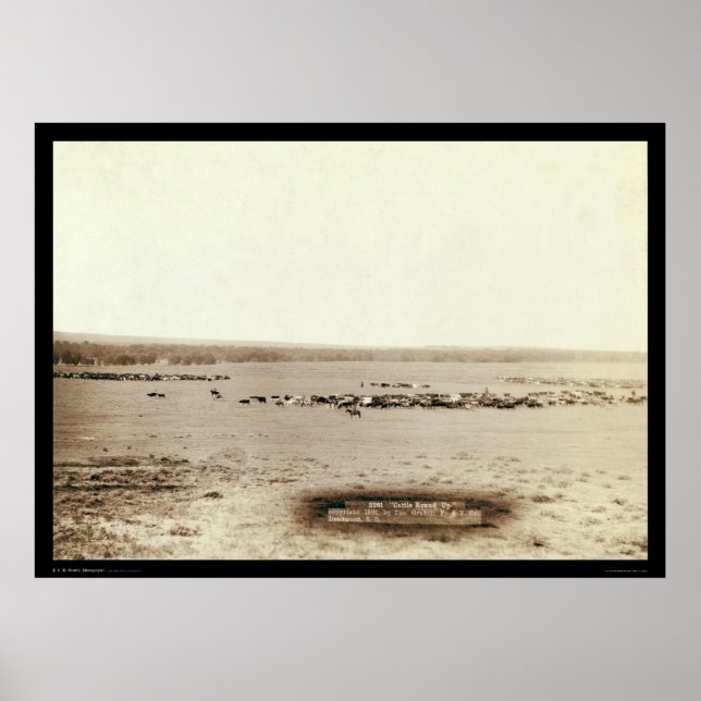 Póster Cowboy Cattle Round Up SD 1891 (Frente)