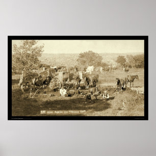 Póster Cowboy Chuckwagon SD 1887
