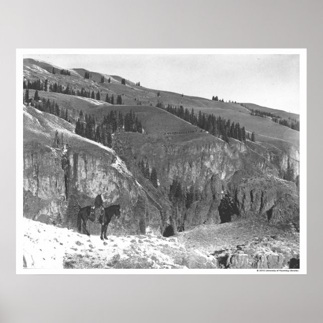 Póster Cowboy se separó de su rebaño. (Frente)
