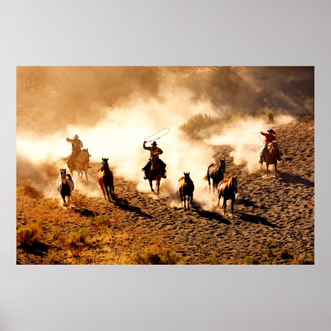 Póster Cowboys chasing wilding horses. roping and riding, (Frente)