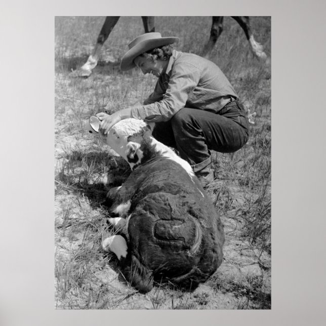 Póster Cowgirl Giving TLC, años 30 (Frente)