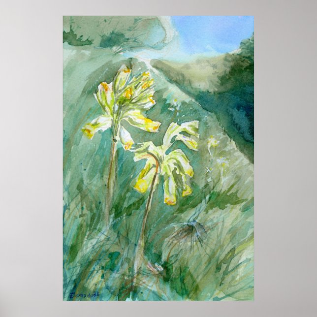 Póster Cowslips Primula veris en un banco de hierba (Frente)