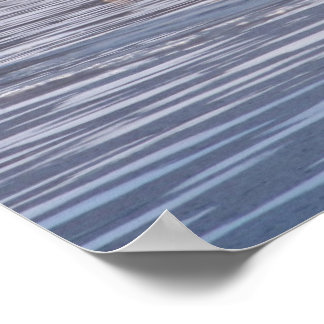 Póster Coyote Crossing