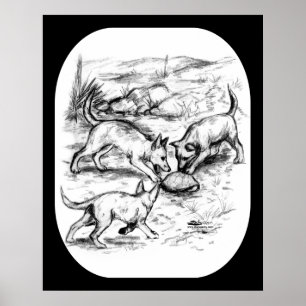 Póster Coyote Pups
