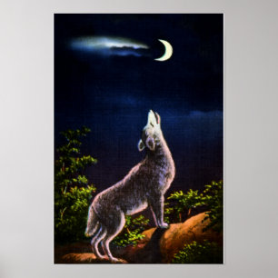 Póster Coyote que grita en la luna
