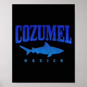 Póster Cozumel Beach Mexico Scuba Diver Sharm Vint