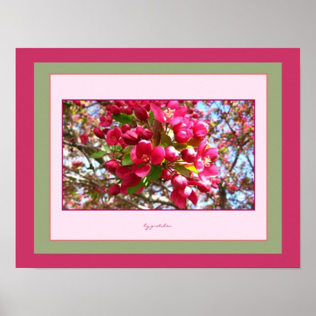 Póster Crabapple Blossoms 2 Foto Poster por gretchen (Frente)