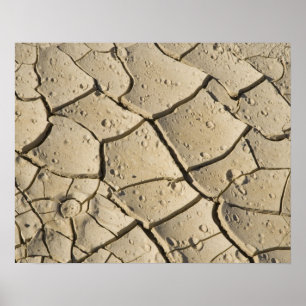 Póster Cracked Mud formation in the Valley floor of 2