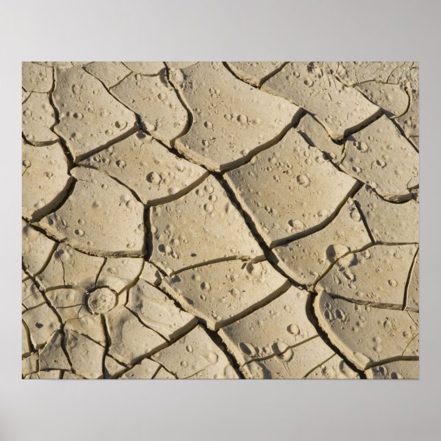 Póster Cracked Mud formation in the Valley floor of 2 (Frente)