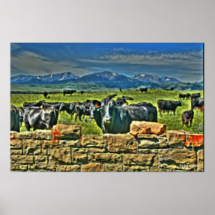 Póster Crag Eyrie Cow