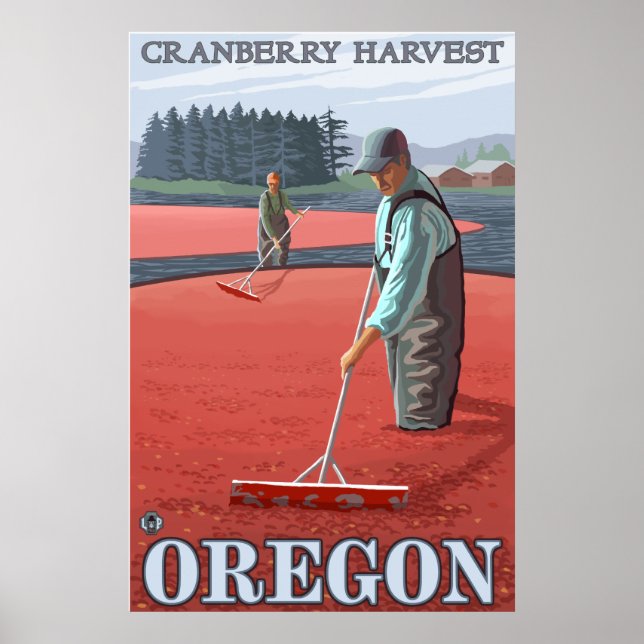 Póster Cranberry Bogs Harvest (Frente)