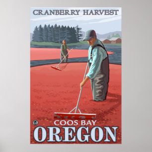 Póster Cranberry Bogs Harvest - Coos Bay, Oregon