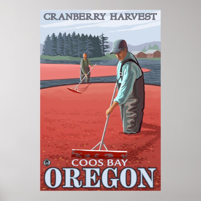 Póster Cranberry Bogs Harvest - Coos Bay, Oregon (Frente)
