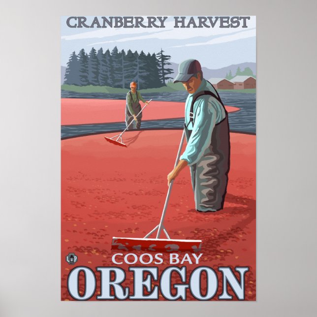 Póster Cranberry Bogs Harvest - Coos Bay, Oregon (Frente)