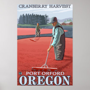 Póster Cranberry Bogs Harvest - Port Orford, Oregon