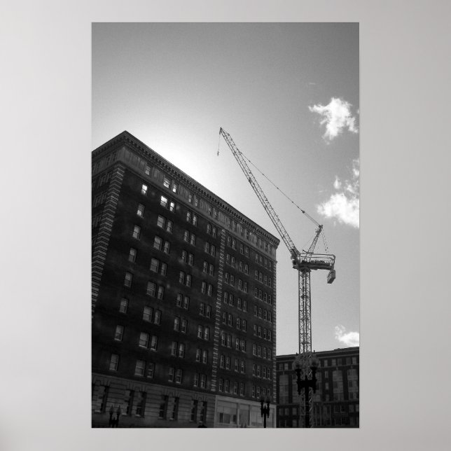 Póster Crane (Frente)