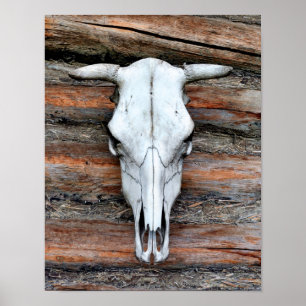 Póster Cráneo de vaca montado