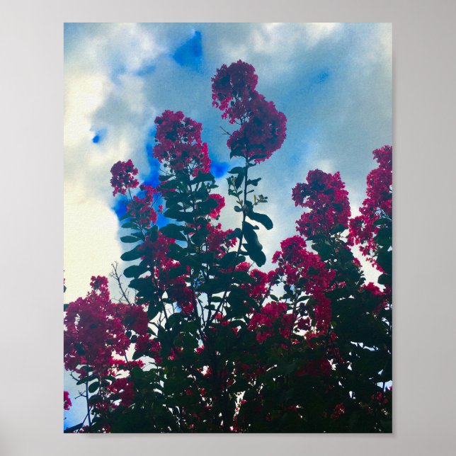 Póster crapemyrtle en un día nublado (Frente)
